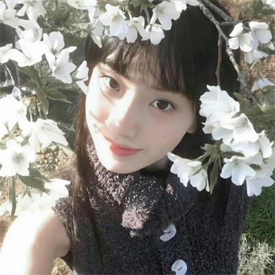 爱凡隆高校 在线观看