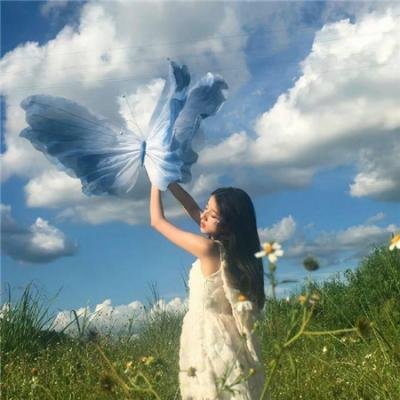 花园宝宝 在线观看